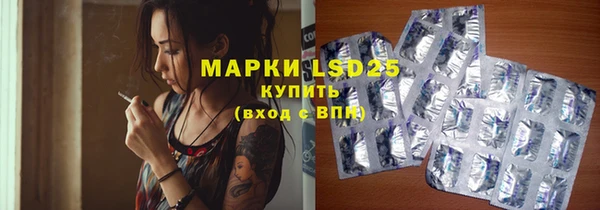 ECSTASY Кукмор