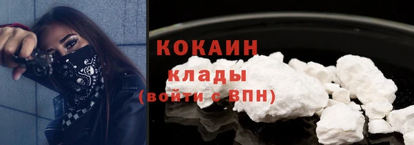 прущие крисы Абаза